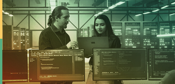 IT Asset Management Services